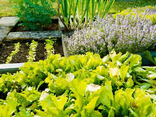 High-Yield Organic Gardening, Film on Farming and Concertina Makers